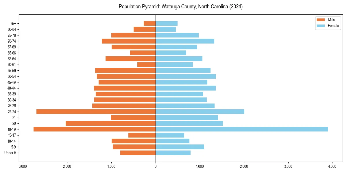 Population pyramid for 