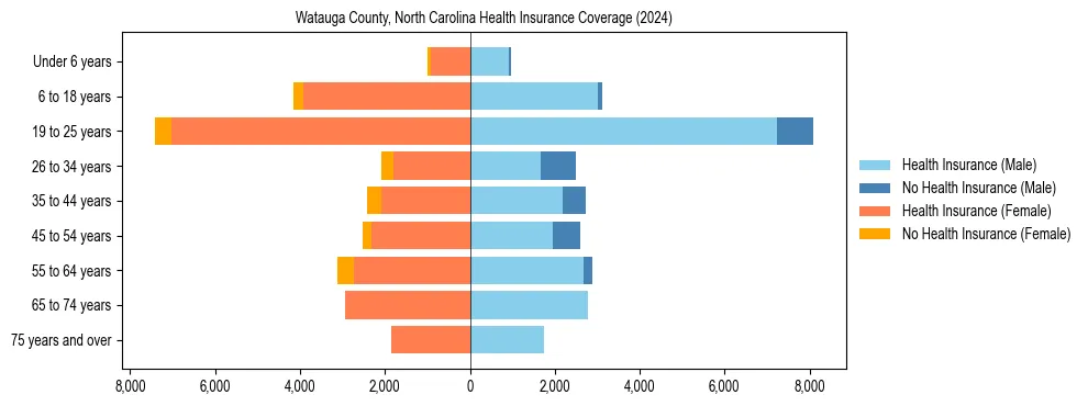 Health insurance pyramid for Watauga County, North Carolina
