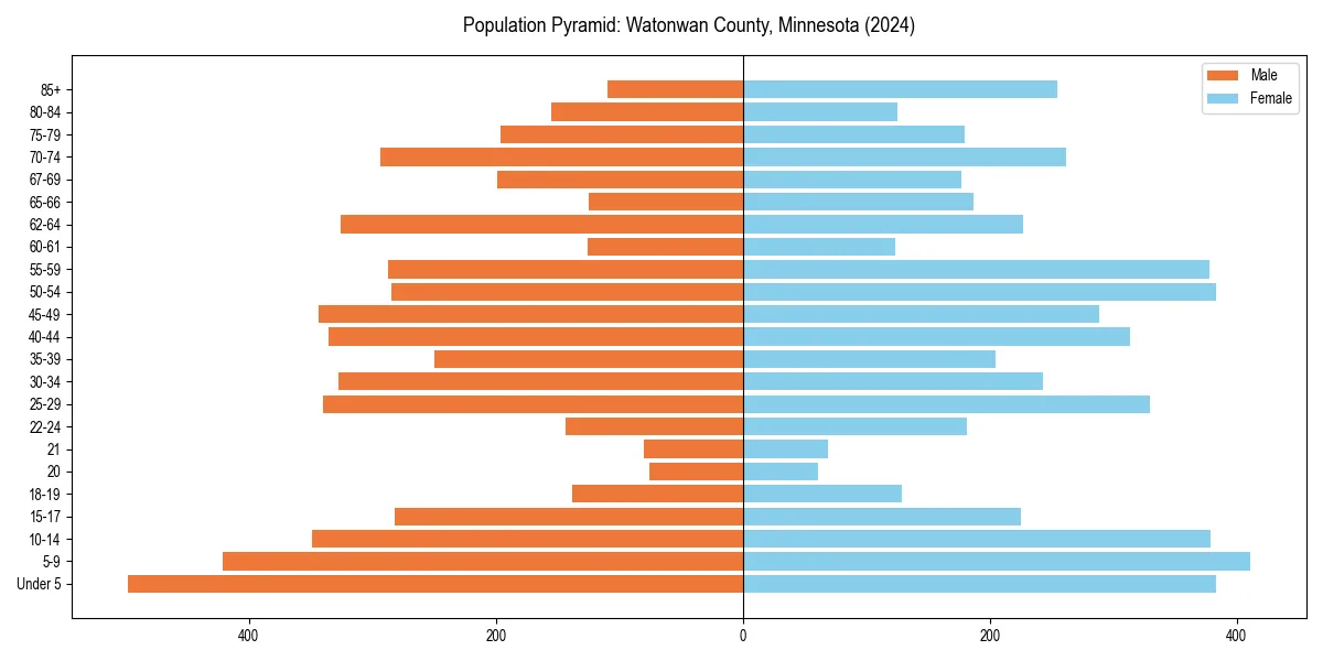 Population pyramid for 