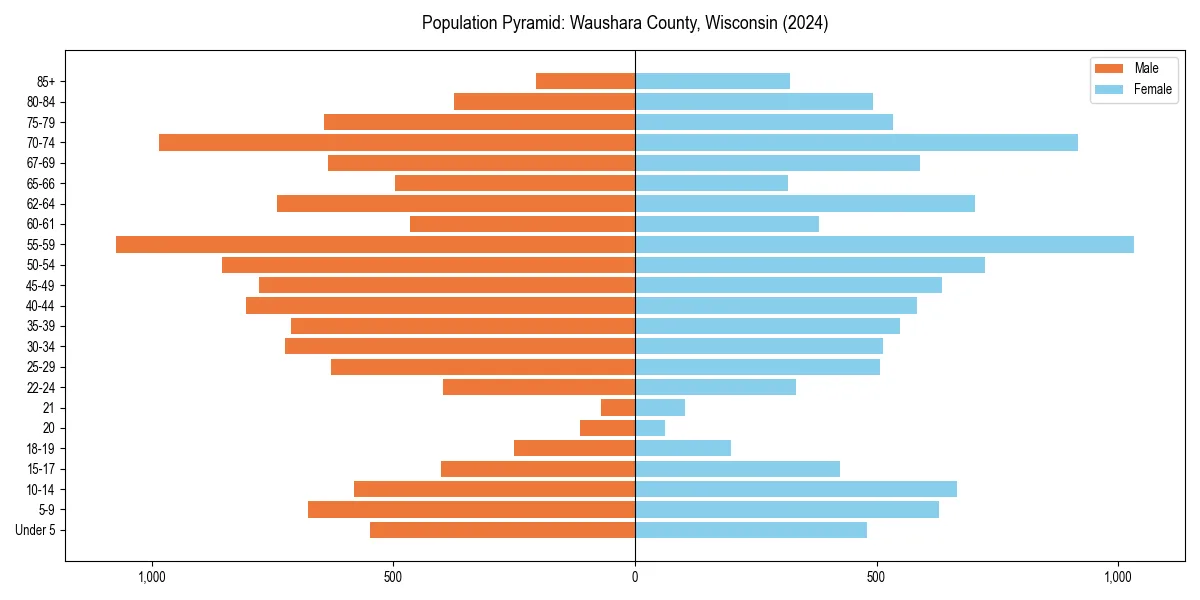 Population pyramid for 