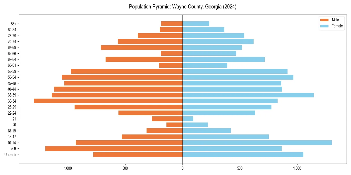 Population pyramid for 