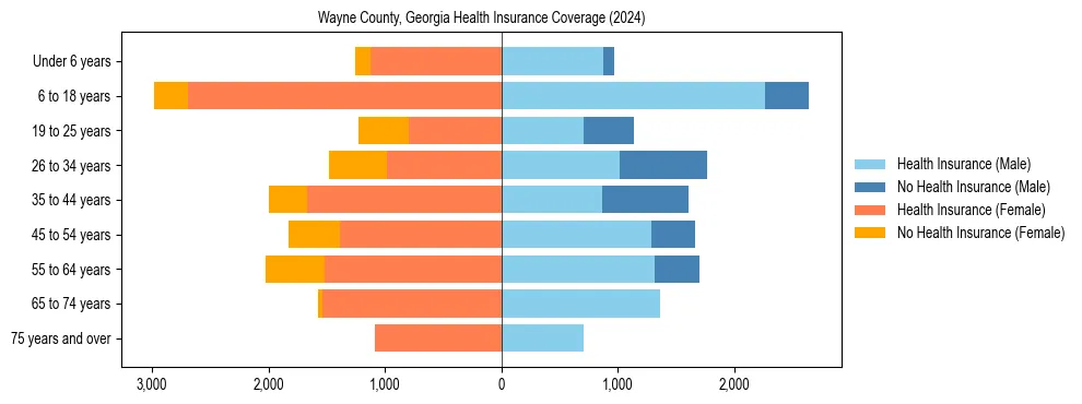 Health insurance pyramid for Wayne County, Georgia