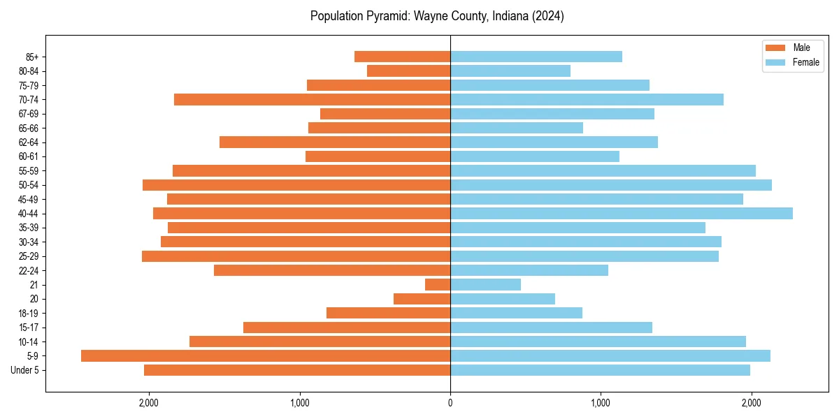 Population pyramid for 