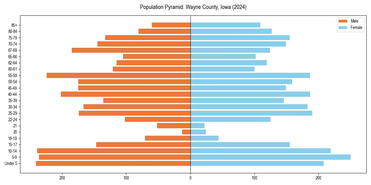 Population pyramid for 