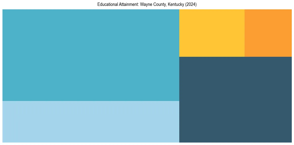 Education Treemap for  in 2024