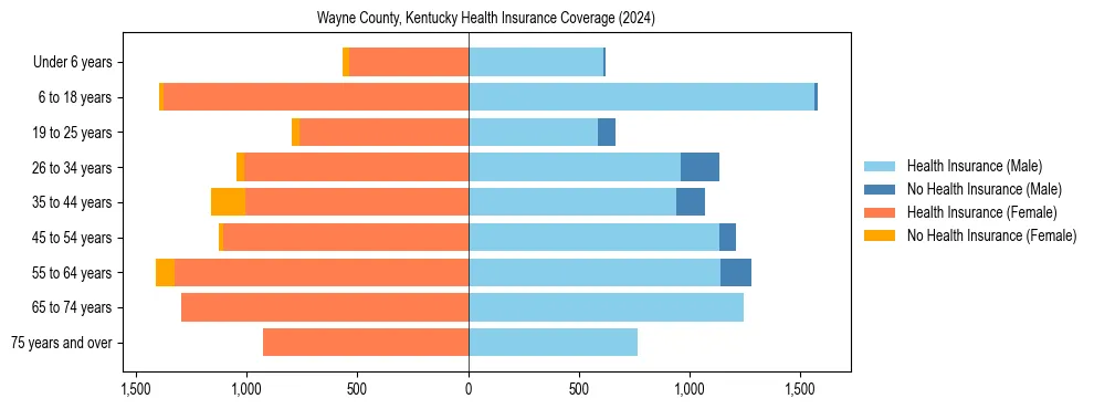 Health insurance pyramid for Wayne County, Kentucky