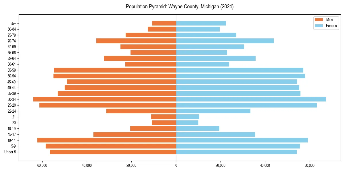 Population pyramid for 