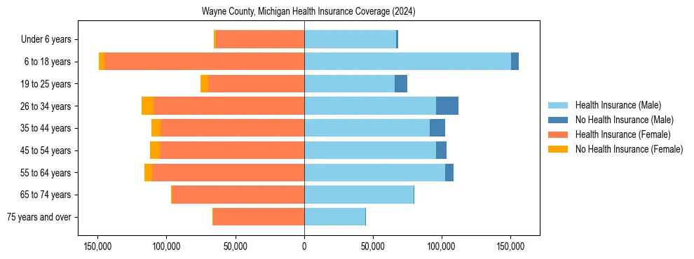 Health insurance pyramid for Wayne County, Michigan