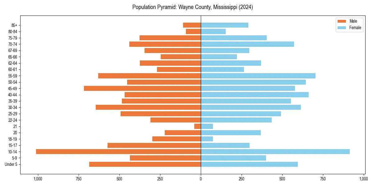 Population pyramid for 