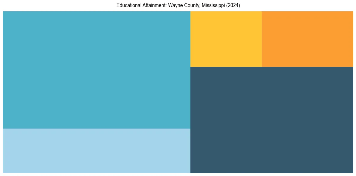 Education Treemap for  in 2024