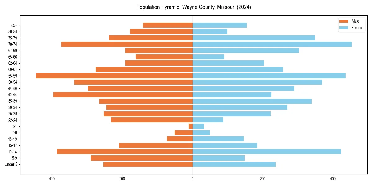 Population pyramid for 