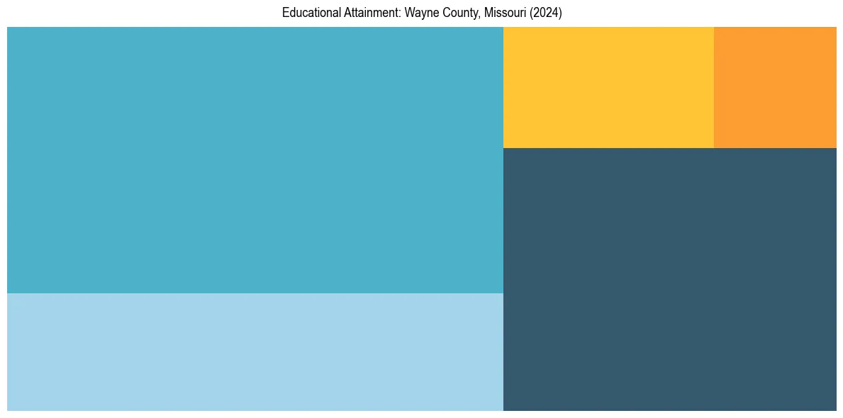 Education Treemap for  in 2024