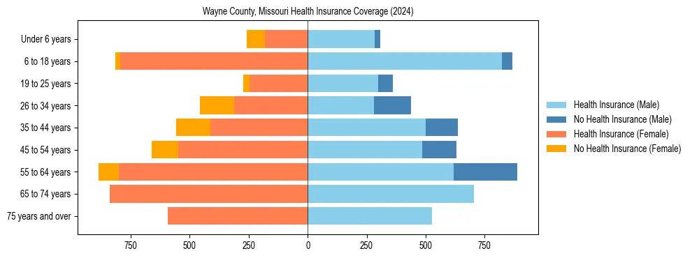 Health insurance pyramid for Wayne County, Missouri