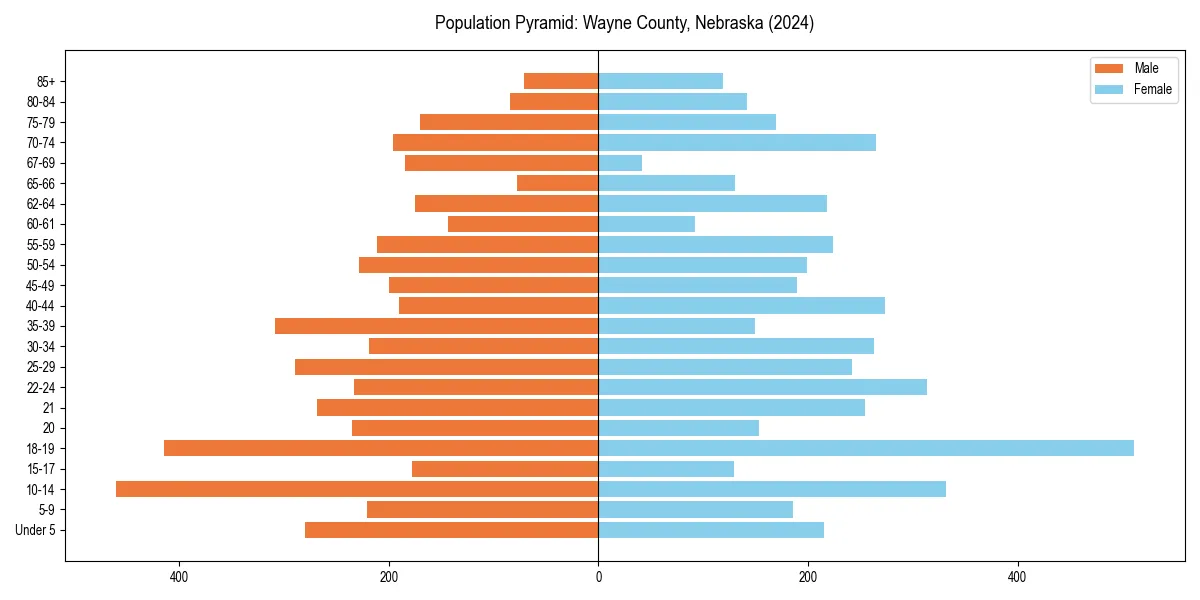 Population pyramid for 