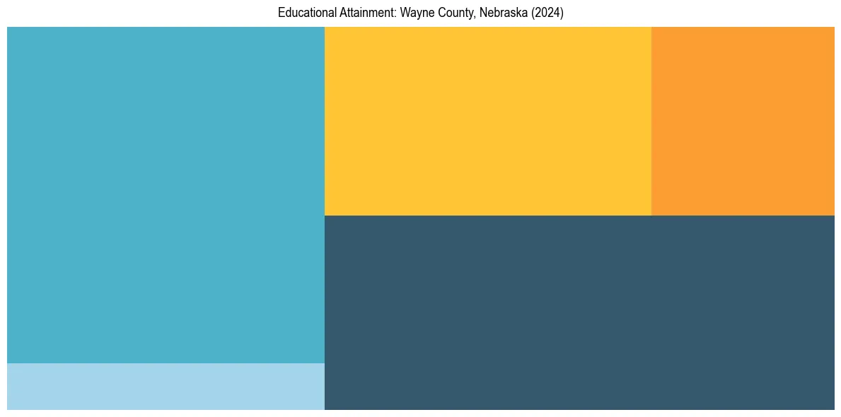 Education Treemap for  in 2024
