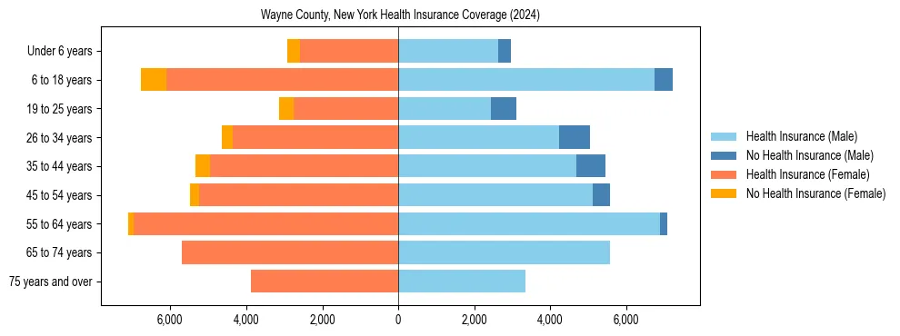 Health insurance pyramid for Wayne County, New York
