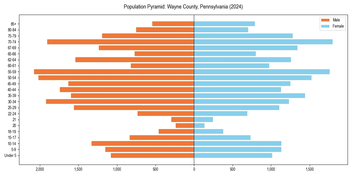 Population pyramid for 