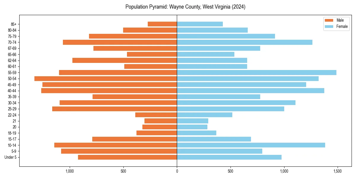 Population pyramid for 