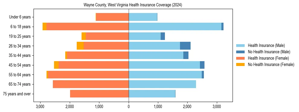 Health insurance pyramid for Wayne County, West Virginia