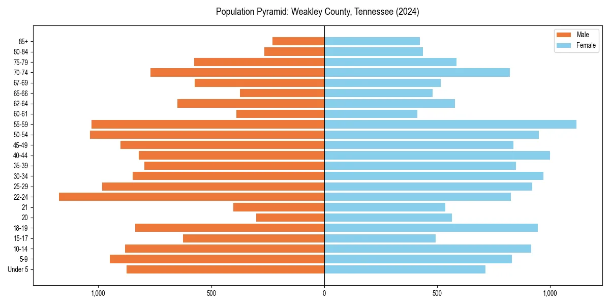 Population pyramid for 