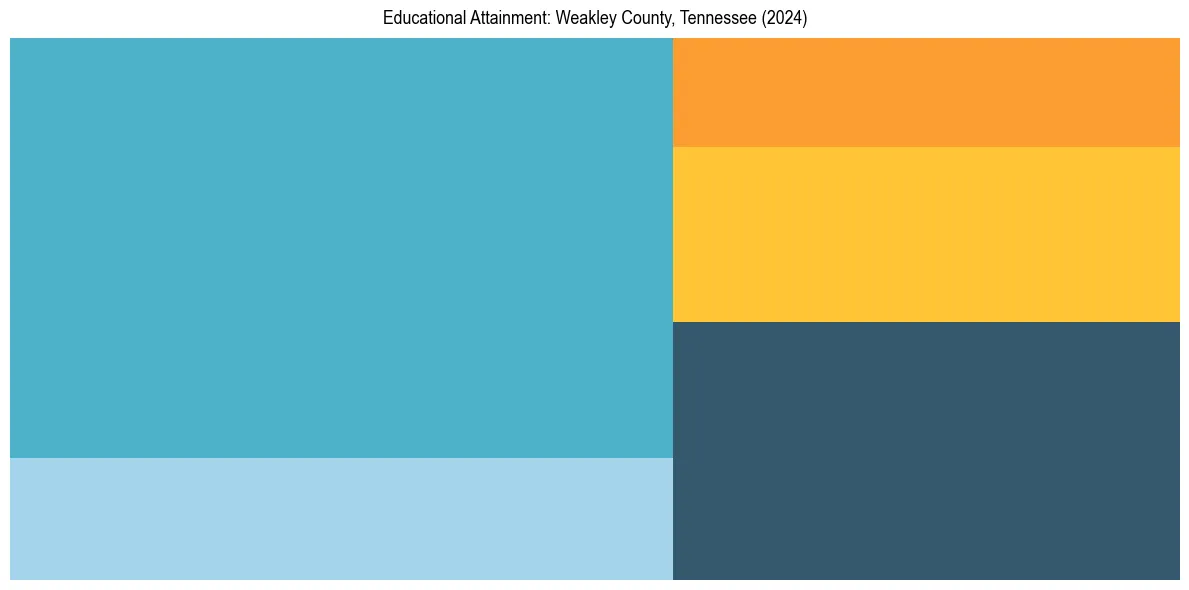 Education Treemap for  in 2024