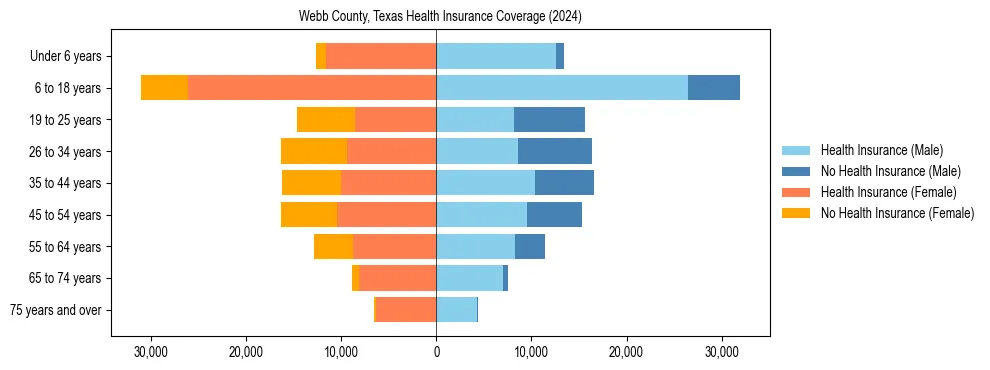 Health insurance pyramid for Webb County, Texas
