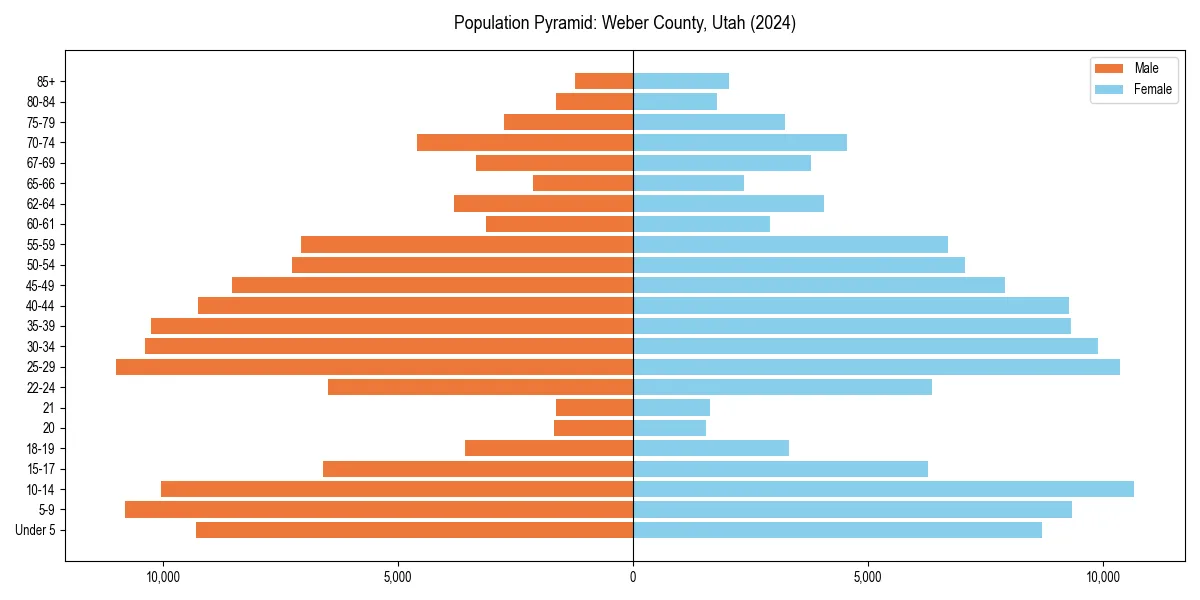 Population pyramid for 