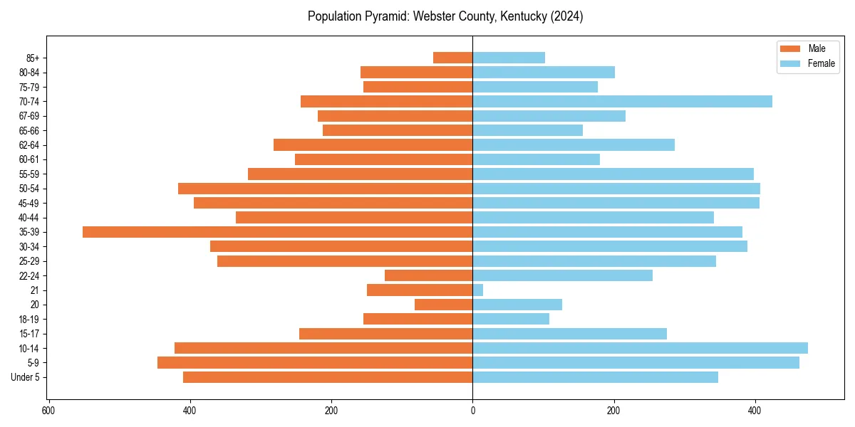 Population pyramid for 