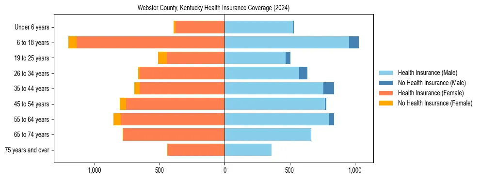 Health insurance pyramid for Webster County, Kentucky