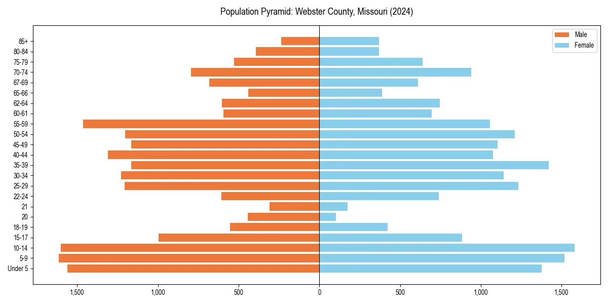 Population pyramid for 