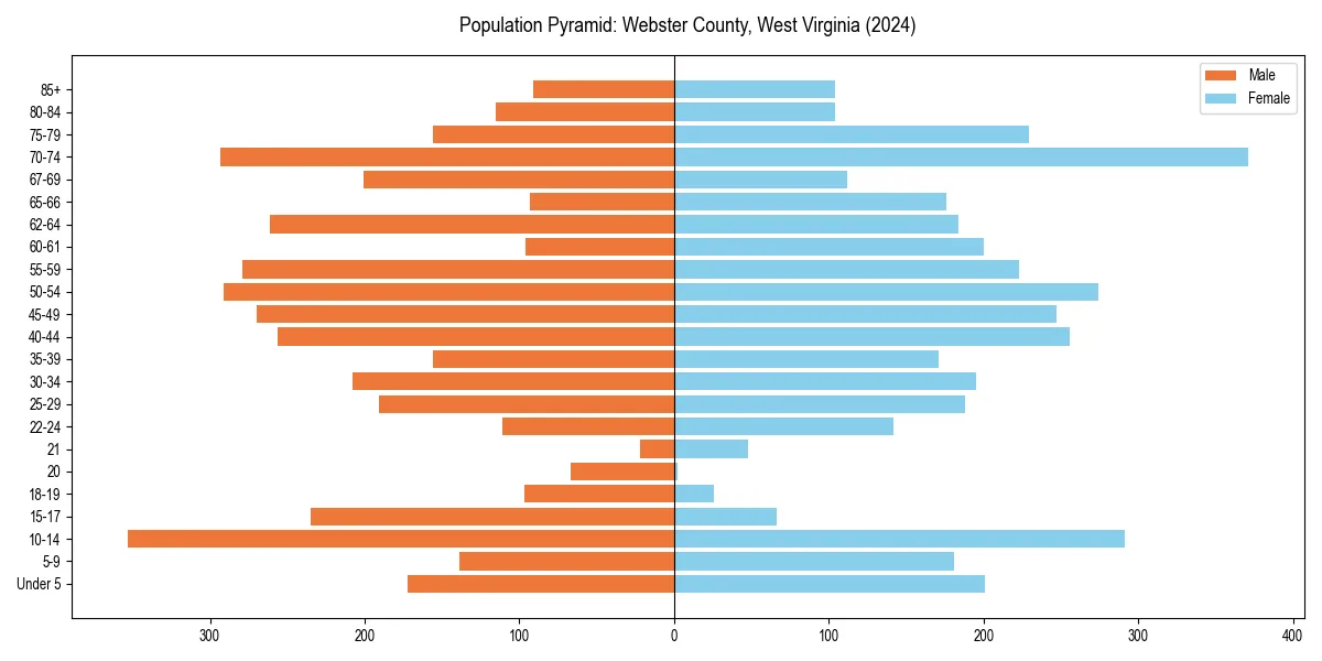 Population pyramid for 