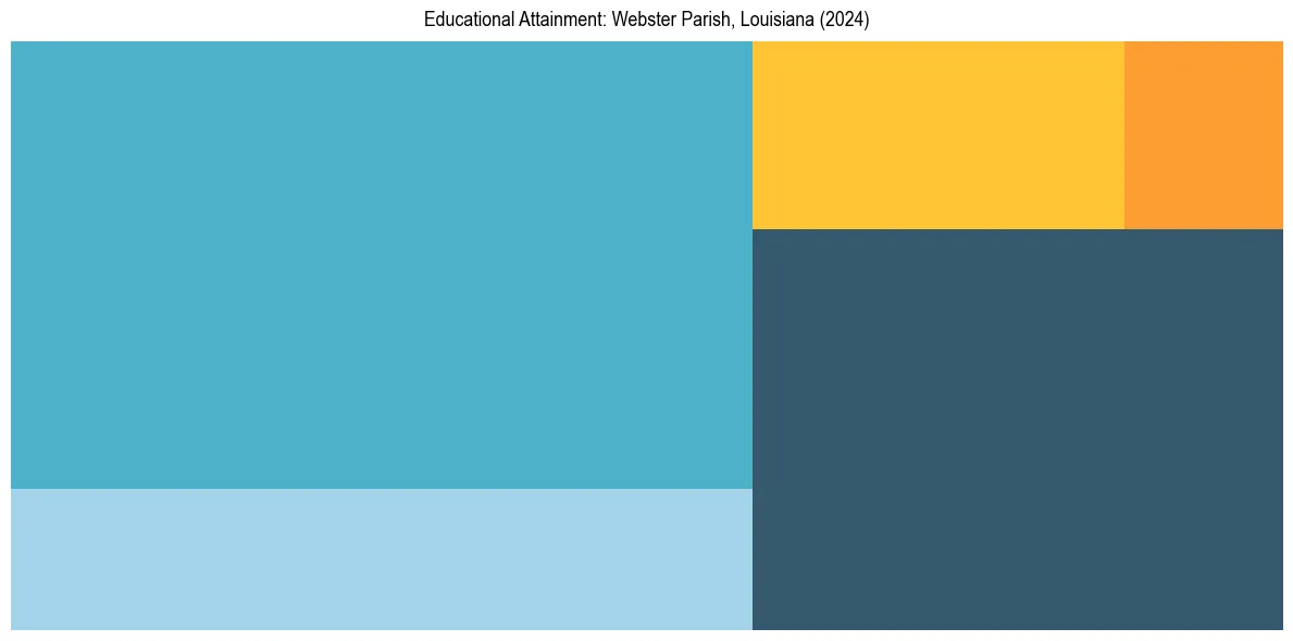 Education Treemap for  in 2024