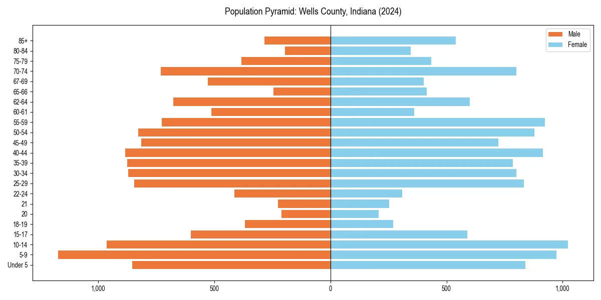 Population pyramid for 