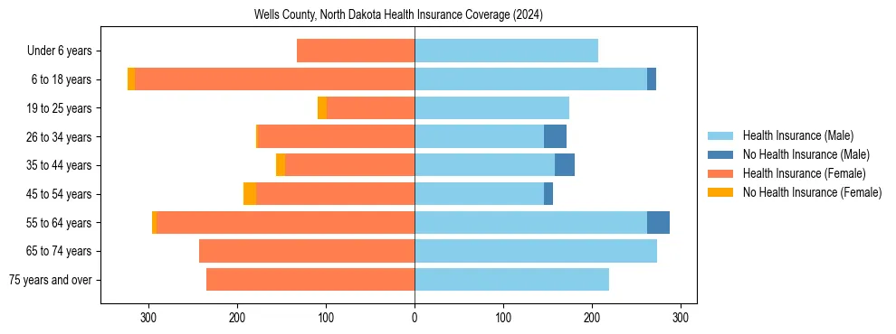 Health insurance pyramid for Wells County, North Dakota