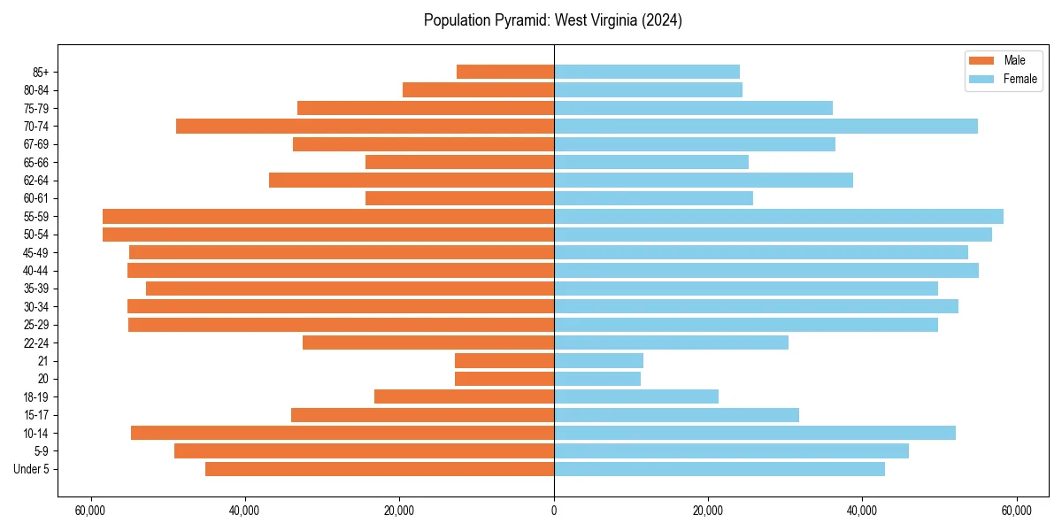 Population pyramid for 