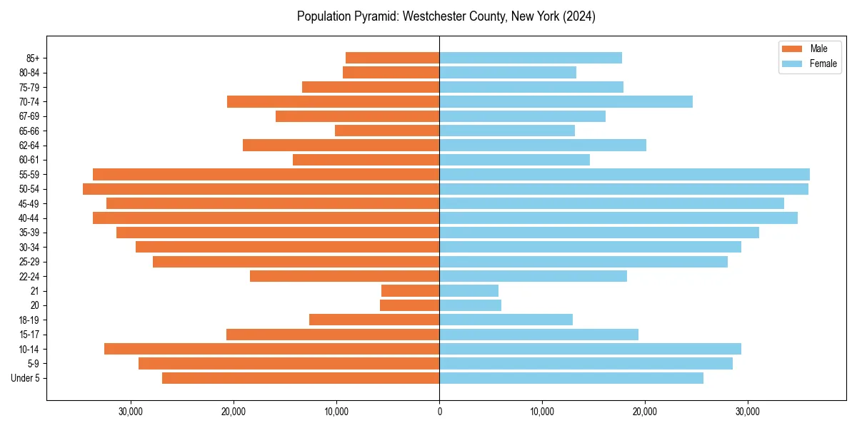 Population pyramid for 