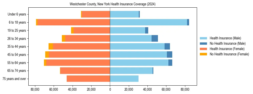Health insurance pyramid for Westchester County, New York