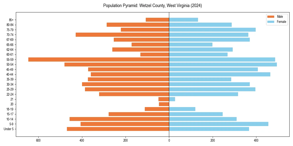 Population pyramid for 