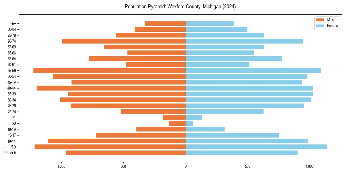 Population pyramid for 
