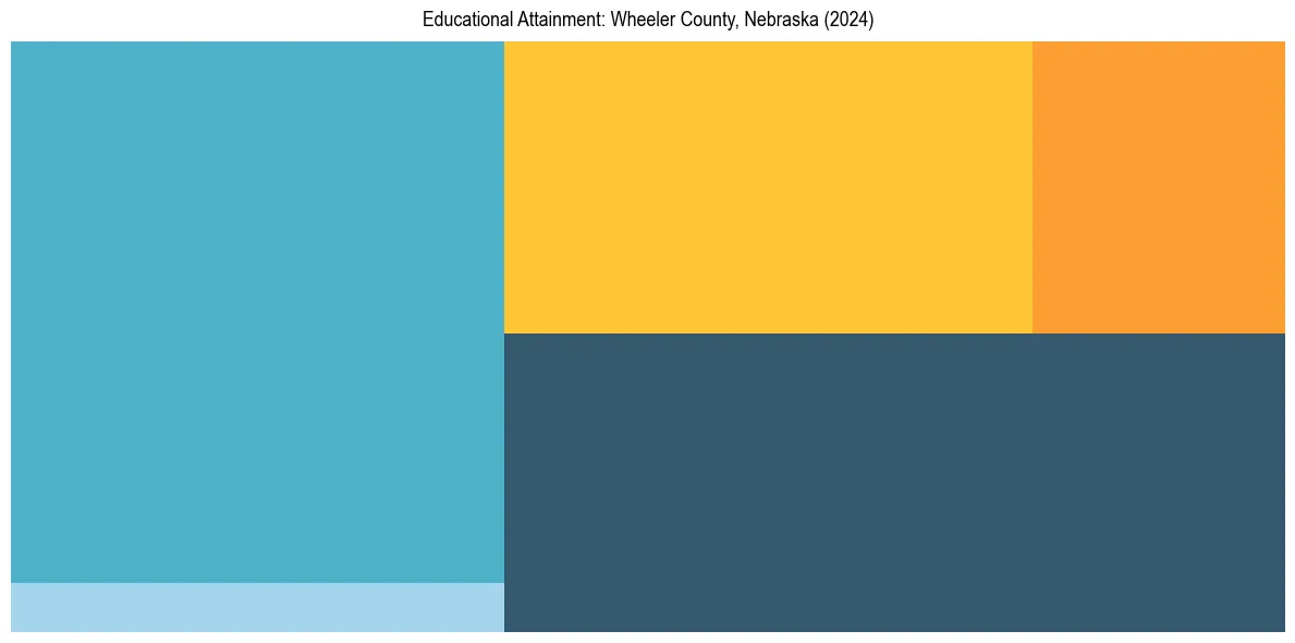 Education Treemap for  in 2024