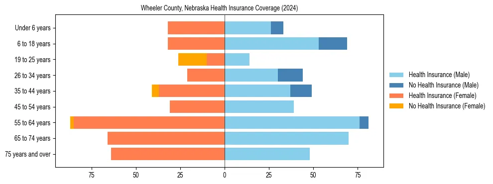 Health insurance pyramid for Wheeler County, Nebraska