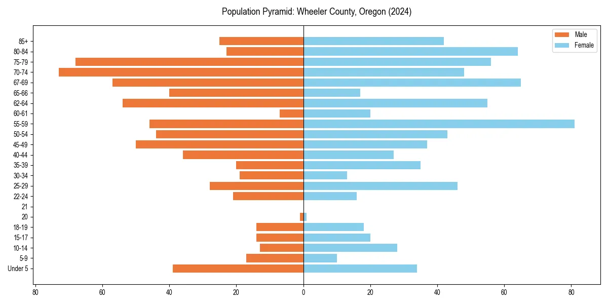 Population pyramid for 