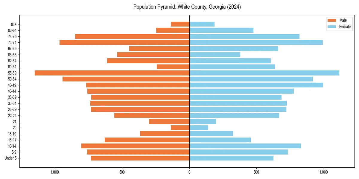 Population pyramid for 
