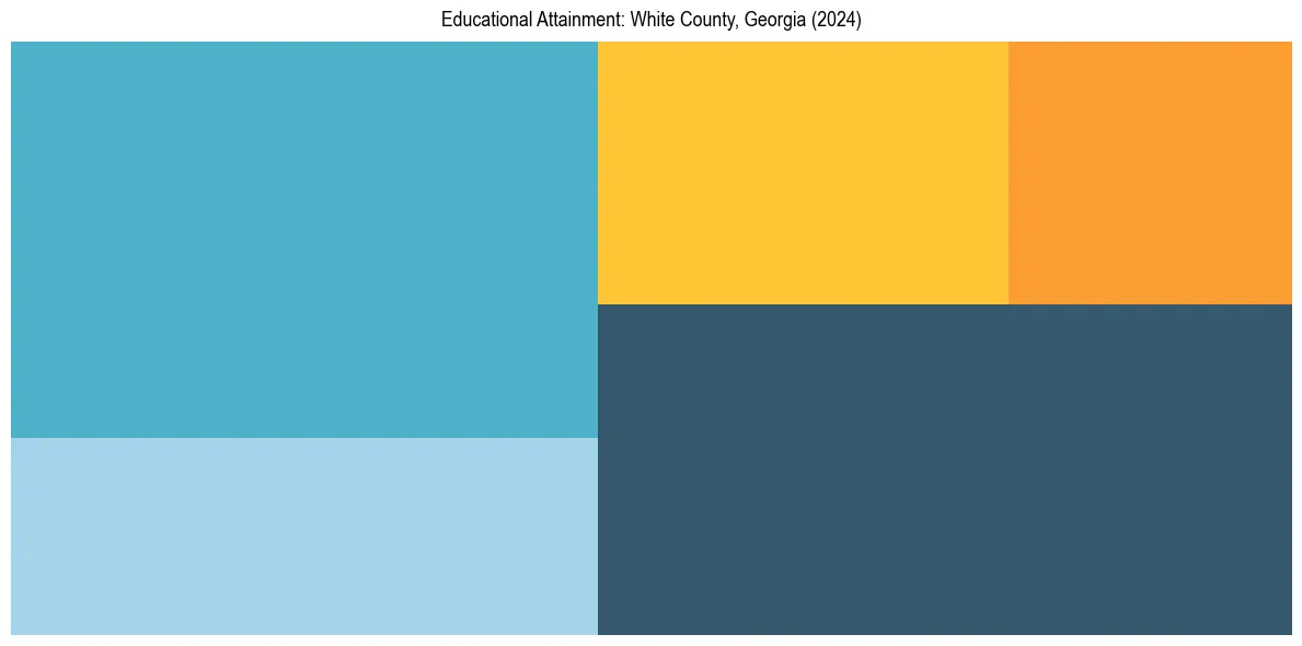 Education Treemap for  in 2024