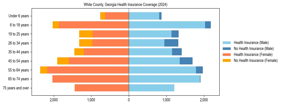 Health insurance pyramid for White County, Georgia