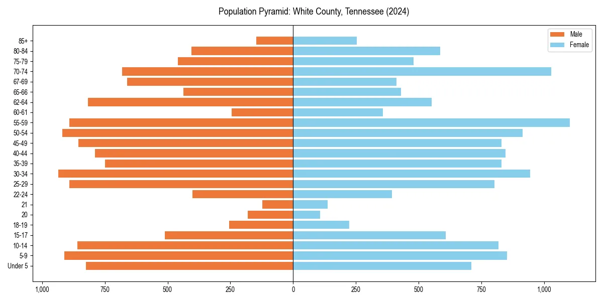 Population pyramid for 