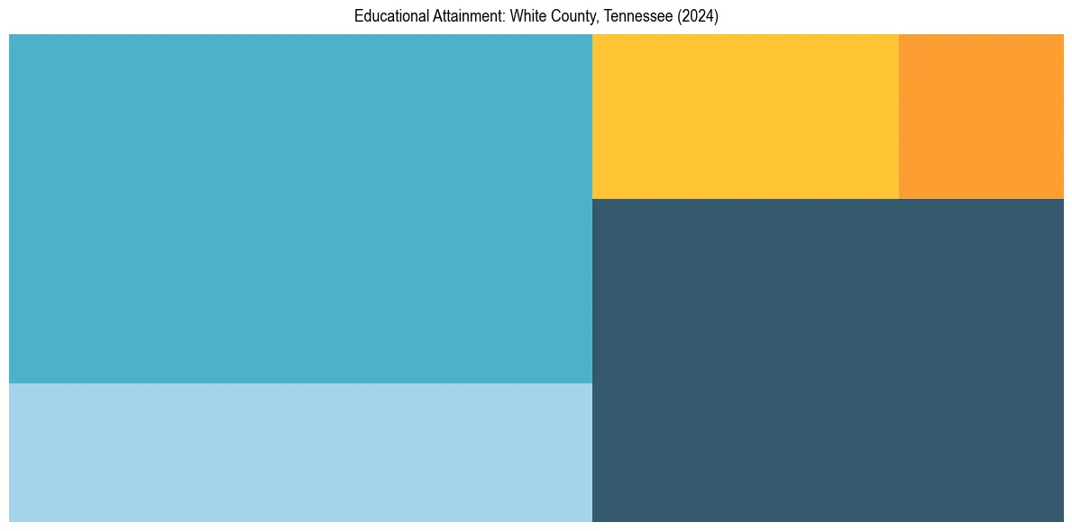 Education Treemap for  in 2024