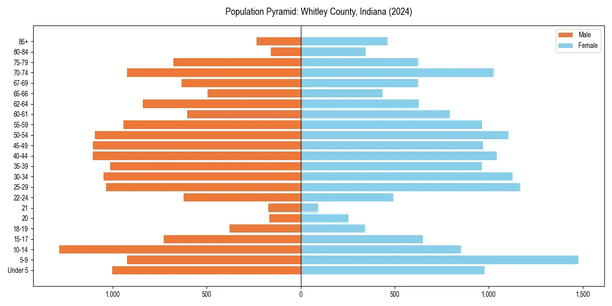 Population pyramid for 