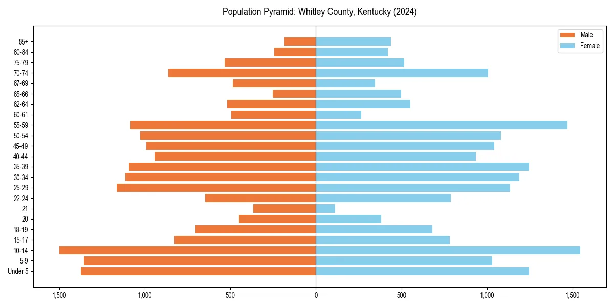 Population pyramid for 