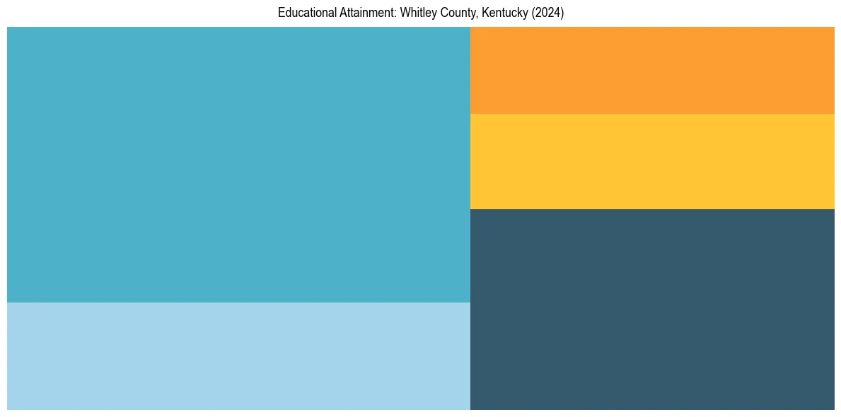 Education Treemap for  in 2024